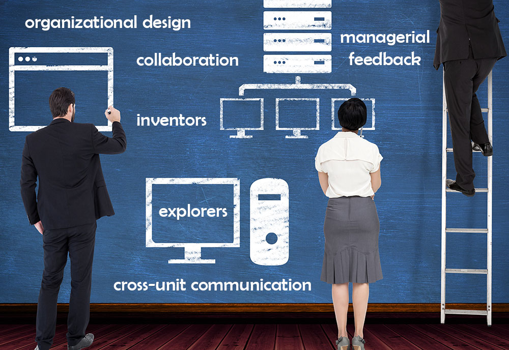 image of organizational design study