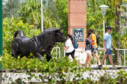 The University of South Florida campus in Tampa is pictured. An intentional focus on neighborhood partnerships is a big part of the work at the newly created Office of University Community Partnerships. [ MARTHA ASENCIO RHINE | Times ]