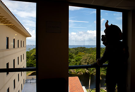 image of rocky in atala hall