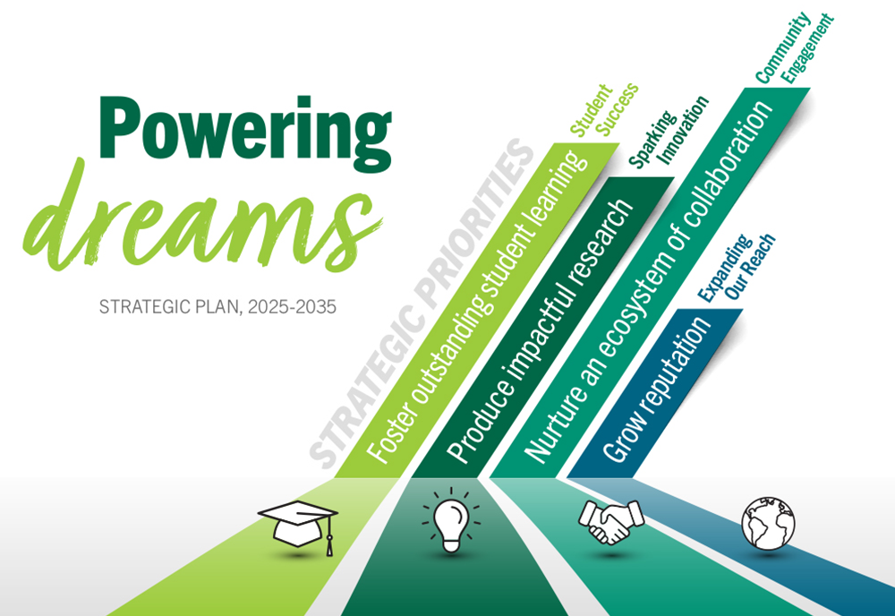 image of graphic showing the strategic plan priorities