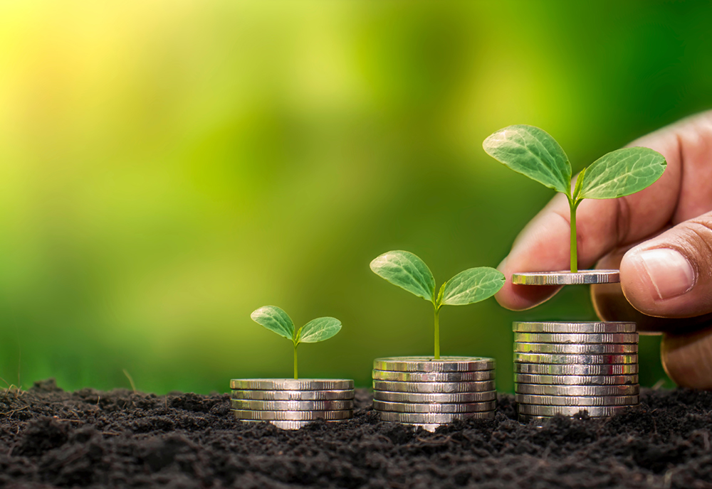 coin stacks with plants sprouting on top