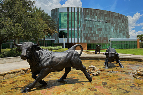 University of South Florida