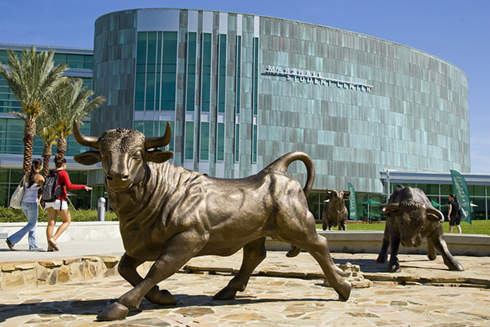 usf marshall center