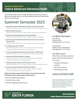 Summer Semester Course List