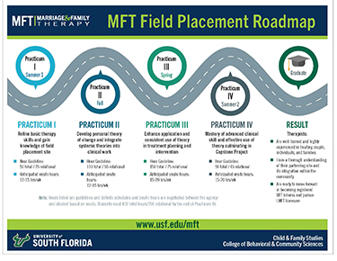 Field Experience Roadmap