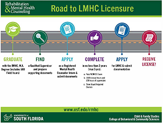 Road to LMHC Licensure