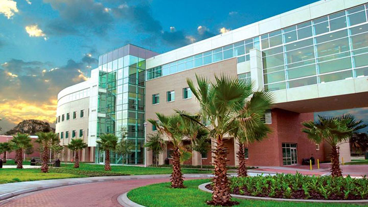 Communication Sciences & Disorders