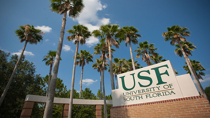 USF Entrance