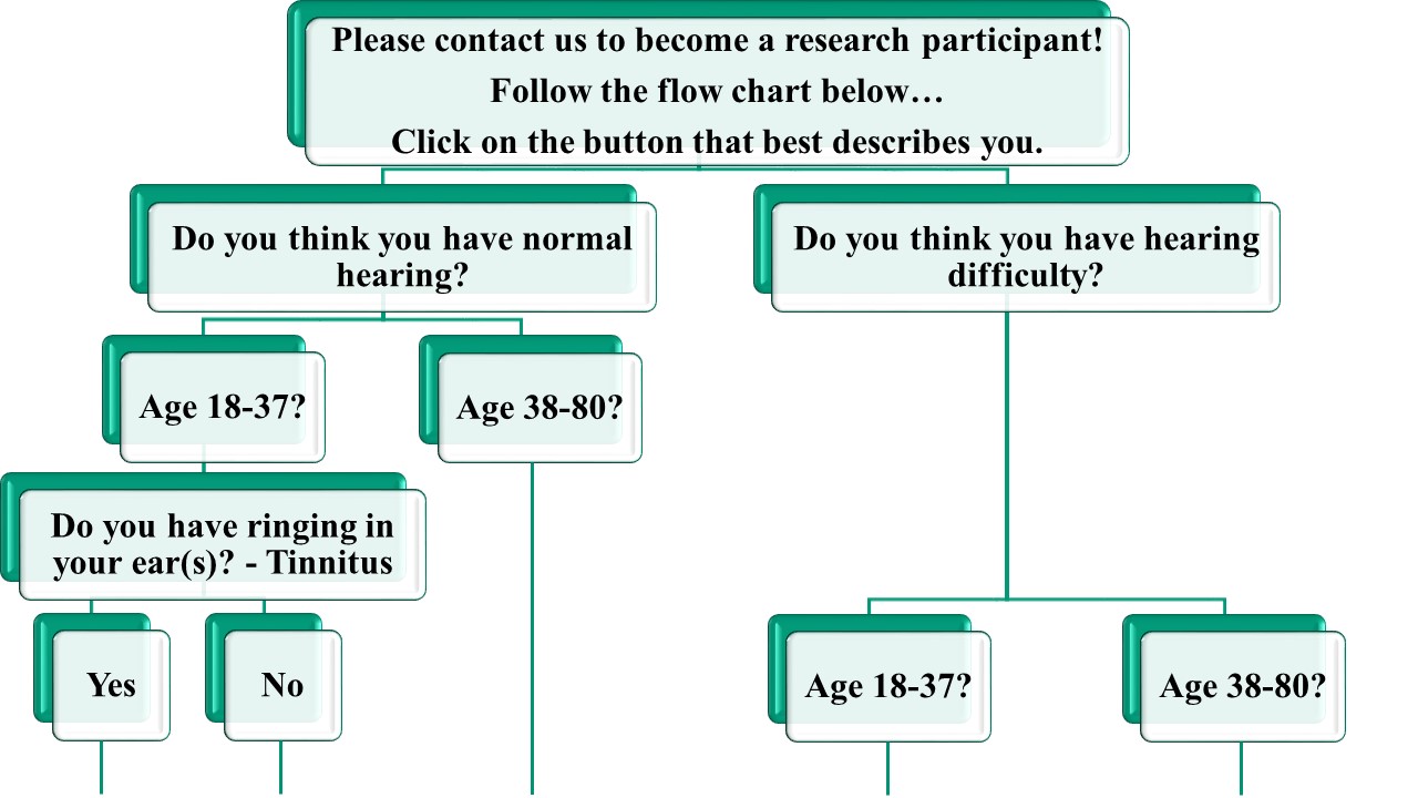 Participant Flow chart