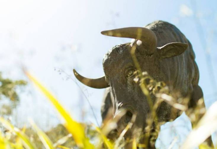 Grass in foreground with a statue of a bull in the background