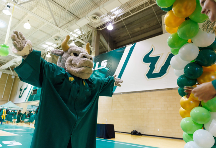 Rocky in graduation robes