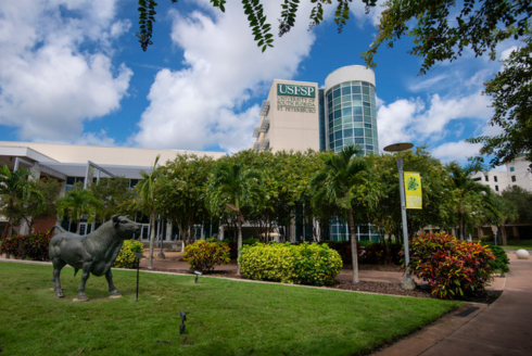 University of South Florida: A Preeminent Research University