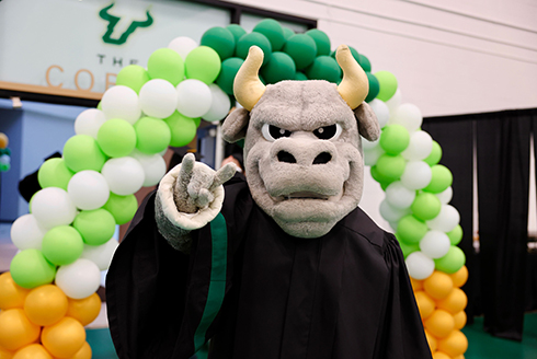 Rocky mascot at graduation