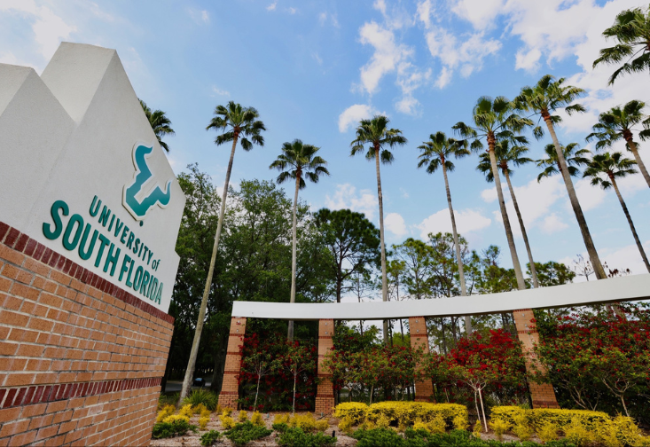 USF sign with palm trees