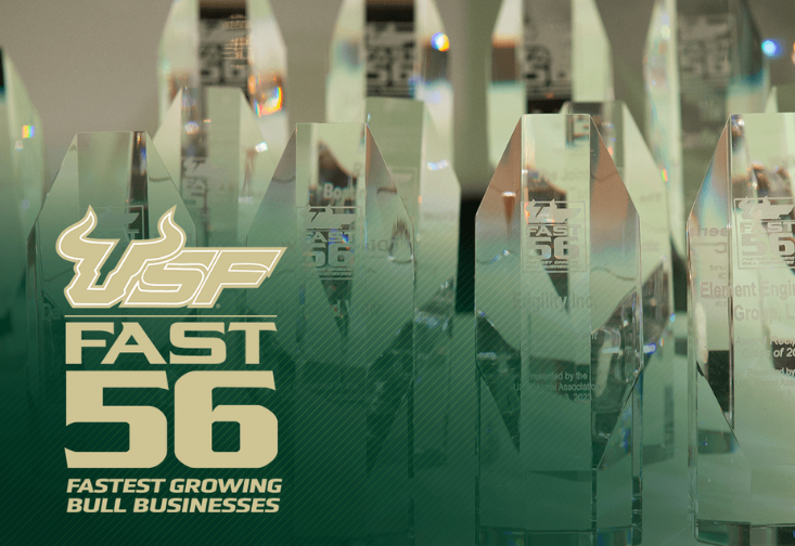 USF Fast 56 fastest growing bull businesses graphic 