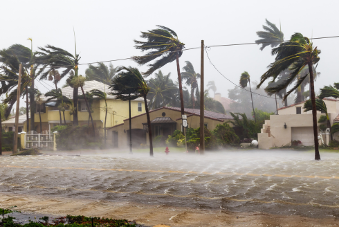 A hurricane stock image