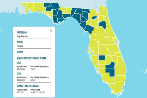 Interactive dashboard showing map of Florida