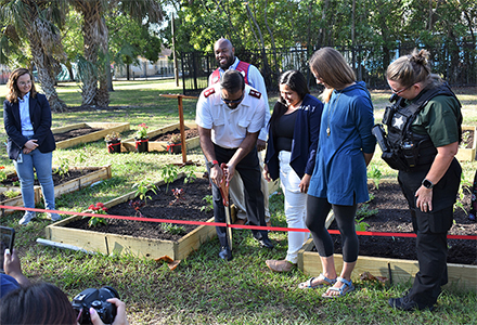 Community garden