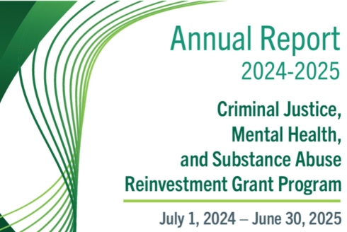Criminal Justice, Mental Health, and Substance Abuse Grant Program FY24-25 Annual Report cover