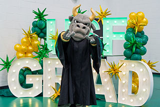 Rocky the Bull mascot wearing a graduation gown poses in front of large illuminated letters spelling 'USF GRAD,’ with green and gold balloon decorations in the background.
