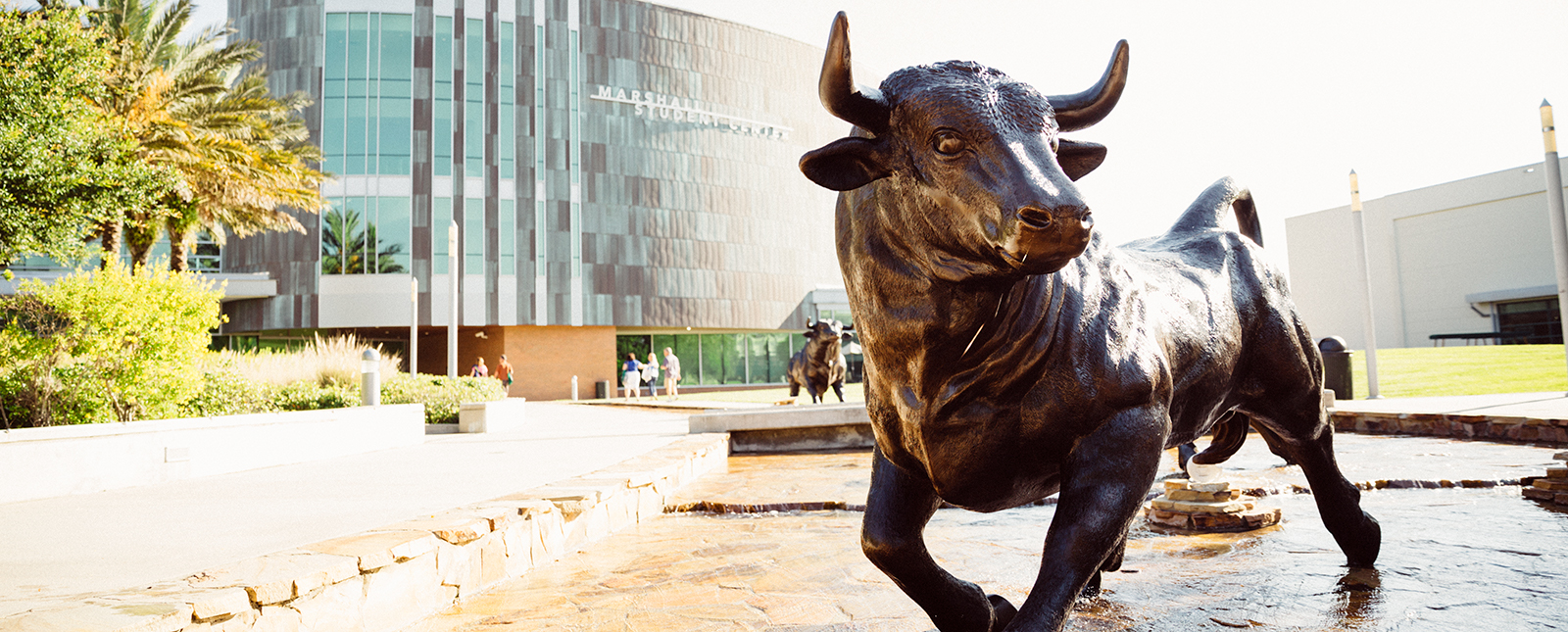 USF Preeminence graphic