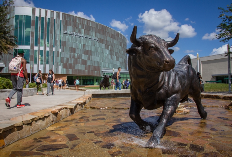 USF Bull Statue