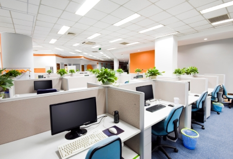 An office filled with computer cubicles