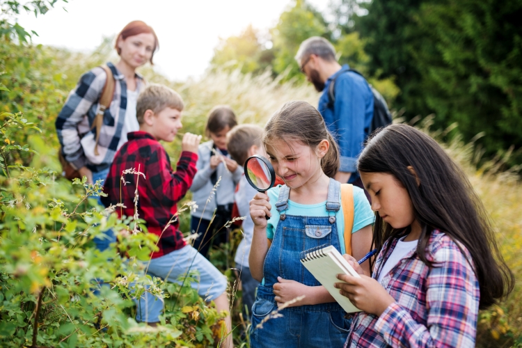 Group of school children with teacher on field trip in nature, learning science. 