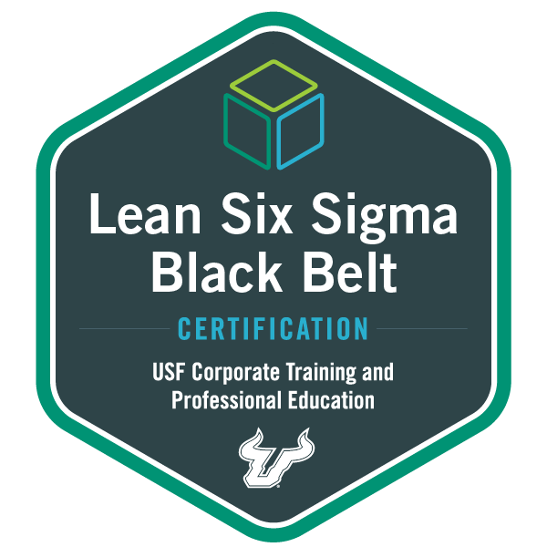 Lean Six Sigma Black Belt Lean Six Sigma Black Belt