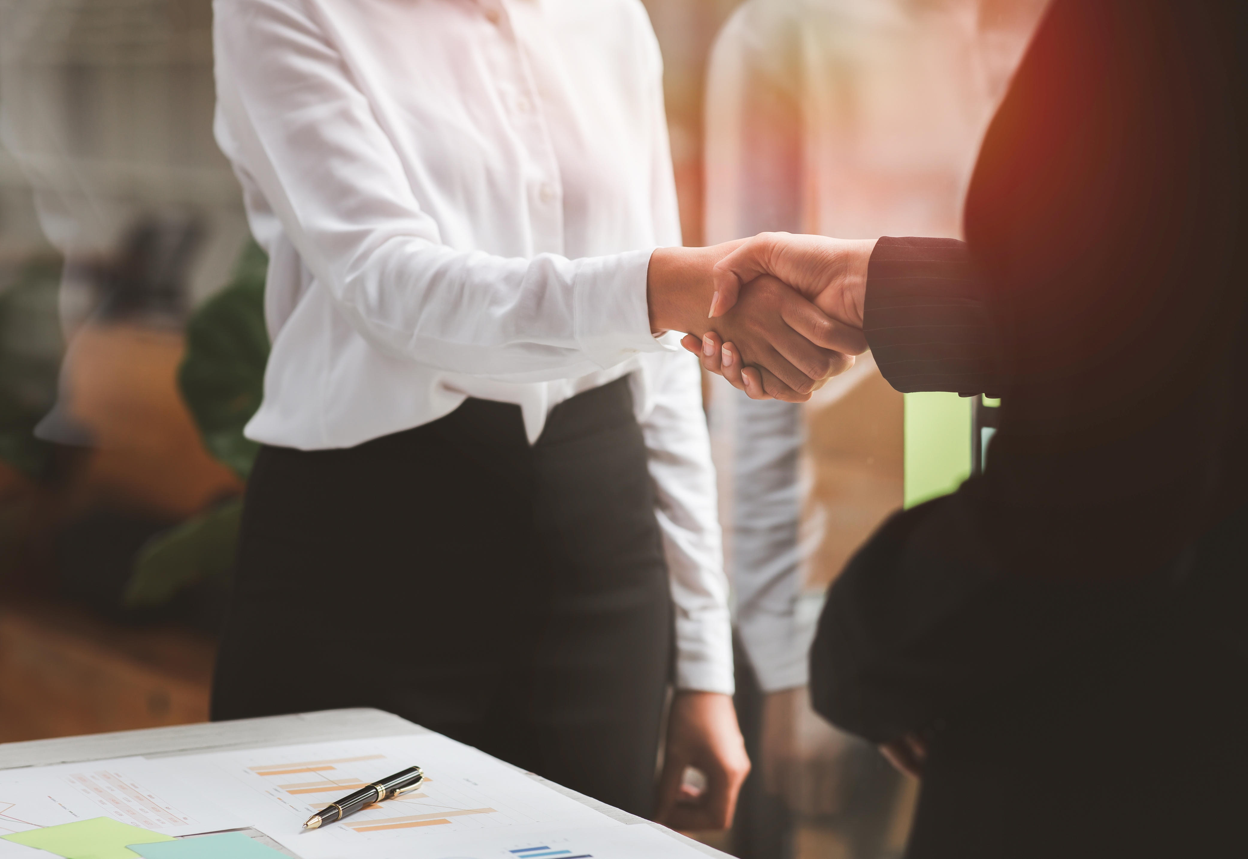 Two people in professional clothing shaking hands
