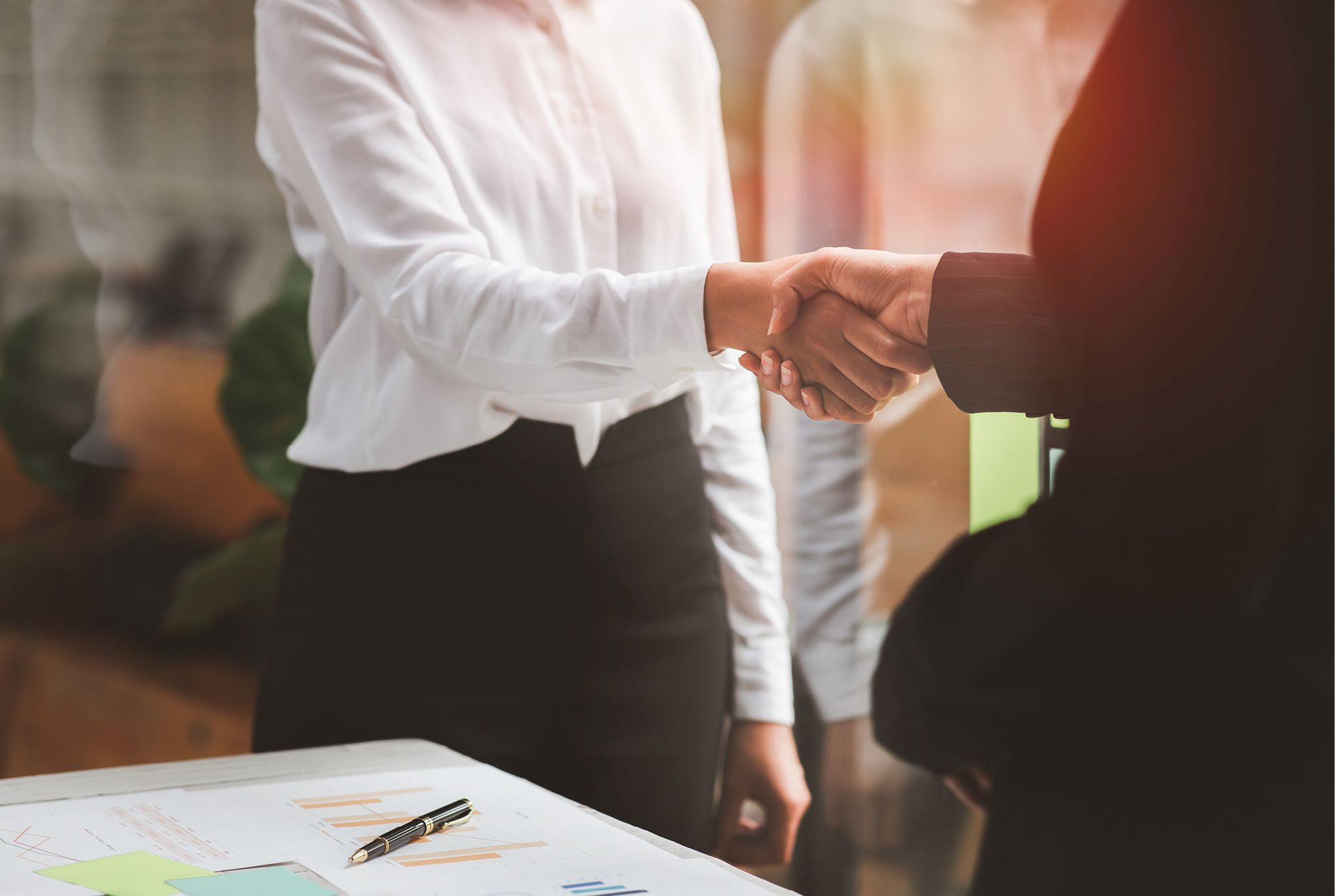 Two people in professional clothing shaking hands