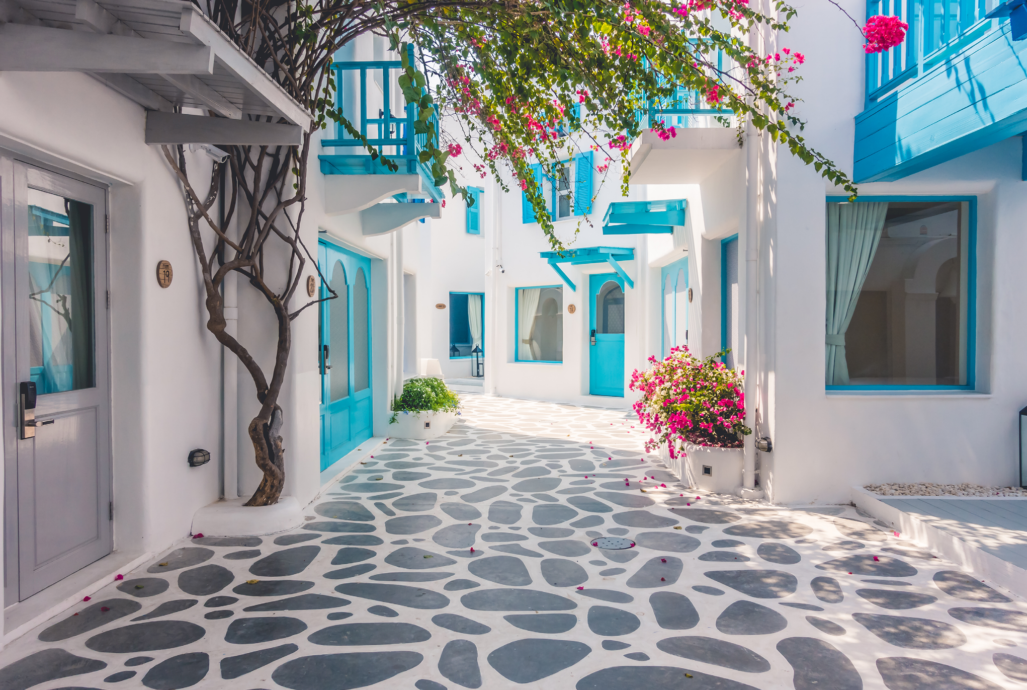 A stone street in Greece surrounded by white buildings with blue doors and windows