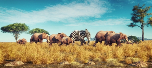 University of South Florida: A Preeminent Research University