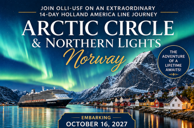 Cruise ship beneath the northern lights