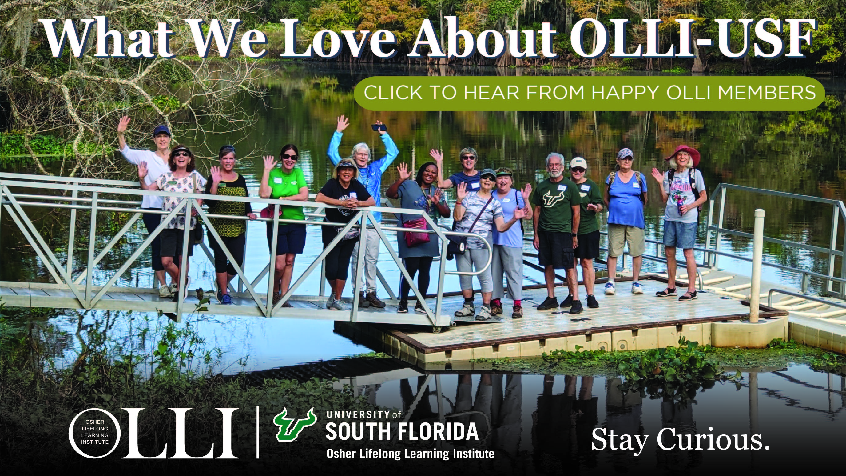 What We Love About OLLI-USF