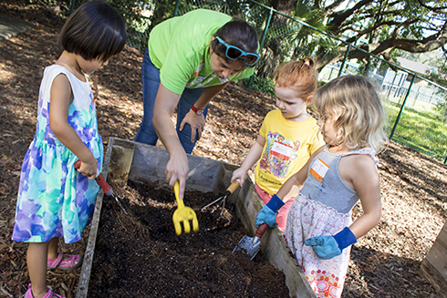 Preschoolers with teacher gardening at USF preschool