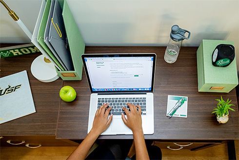 Student on laptop at desk in USF dorm