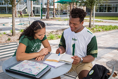 USF students studying outside at the Tampa campus