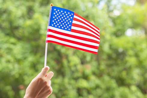 Hand holding a U.S. flag