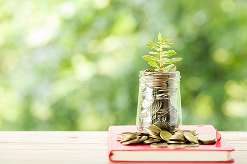 Jar of money with plants growing out of it, on top of a stack of books