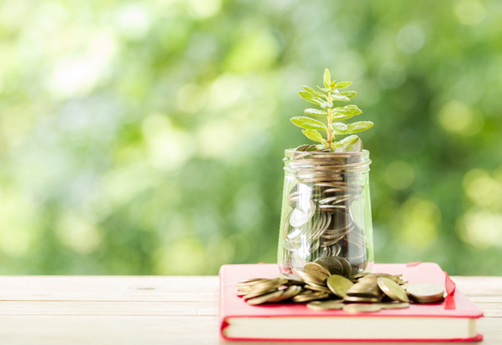 Jar of money with plants growing out of it, on top of a stack of books