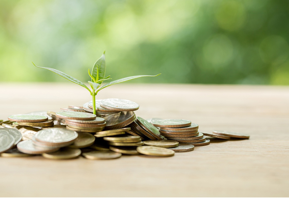 A plant growing out of a pile of coins on a table.