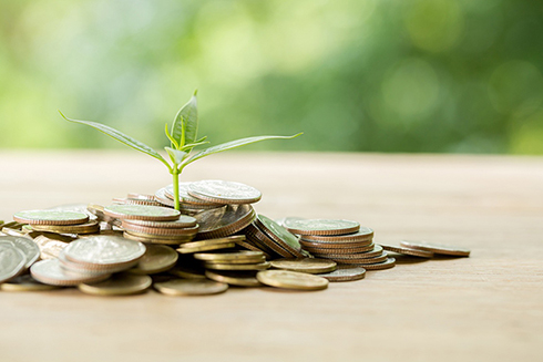 A plant growing out of a pile of coins on a table.