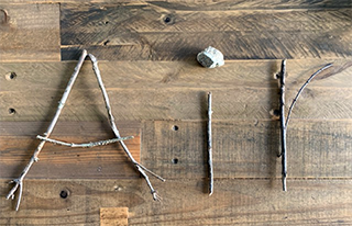 the word air spelled out by sticks from nature