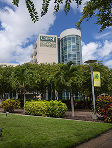 USF St. Petersburg campus