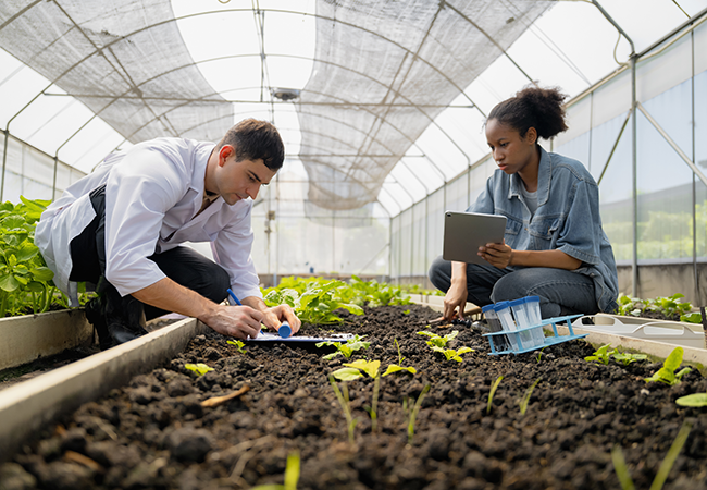 a man and woman sit in a green house taking data looking down at plants