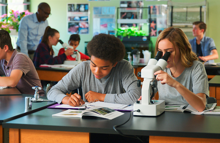 students using microscopes