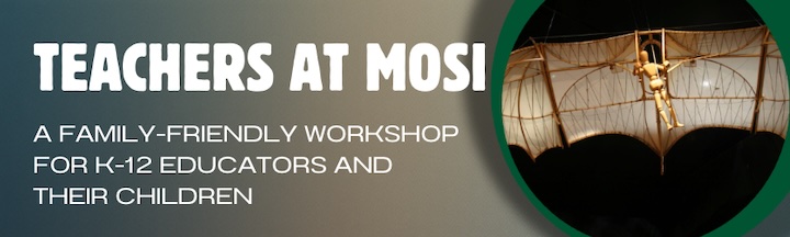 An image of a da Vinci early flight model