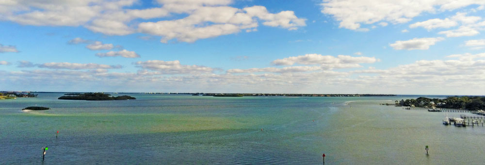 Algal Bloom