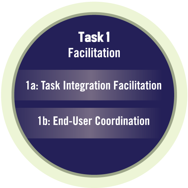 Task 1